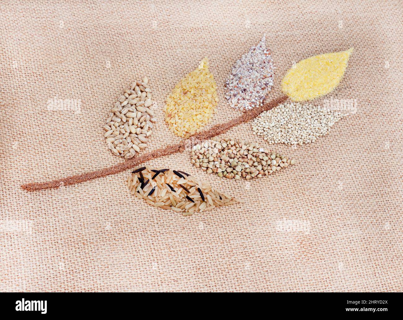 Selezione di diversi e alternativi cereali sani a forma di fiore di grano Foto Stock