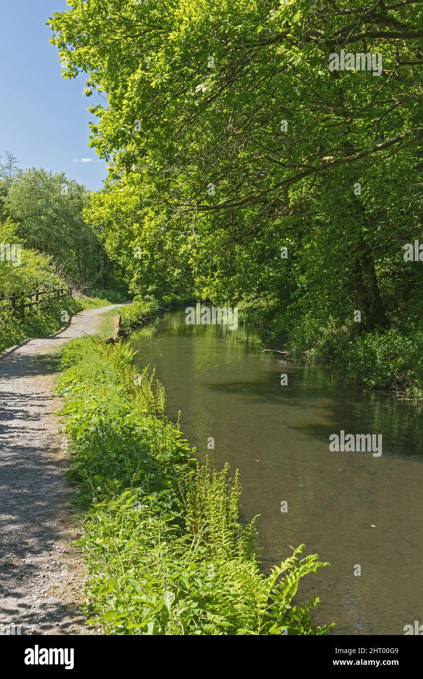 Swansea Canal tra Pontardawe e Godre' r-graig, Neath Port Talbot, Galles del Sud, Regno Unito Foto Stock