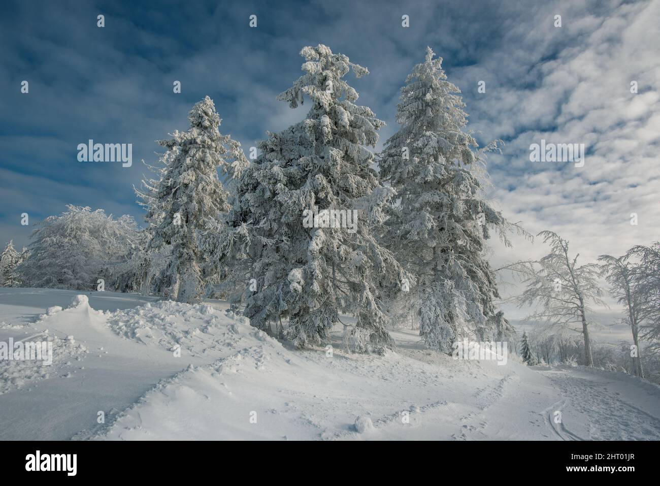 Montagne Beskids in inverno, la regione turistica polacca è la Slesia, vicino Bielsko-Biala Foto Stock