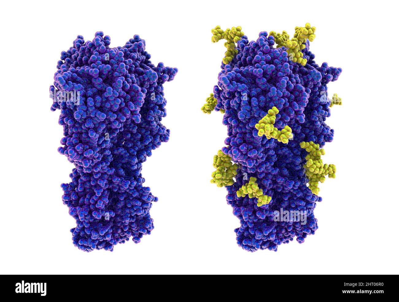Emoagglutinina del virus influenzale H3N2 1968, illustrazione Foto Stock