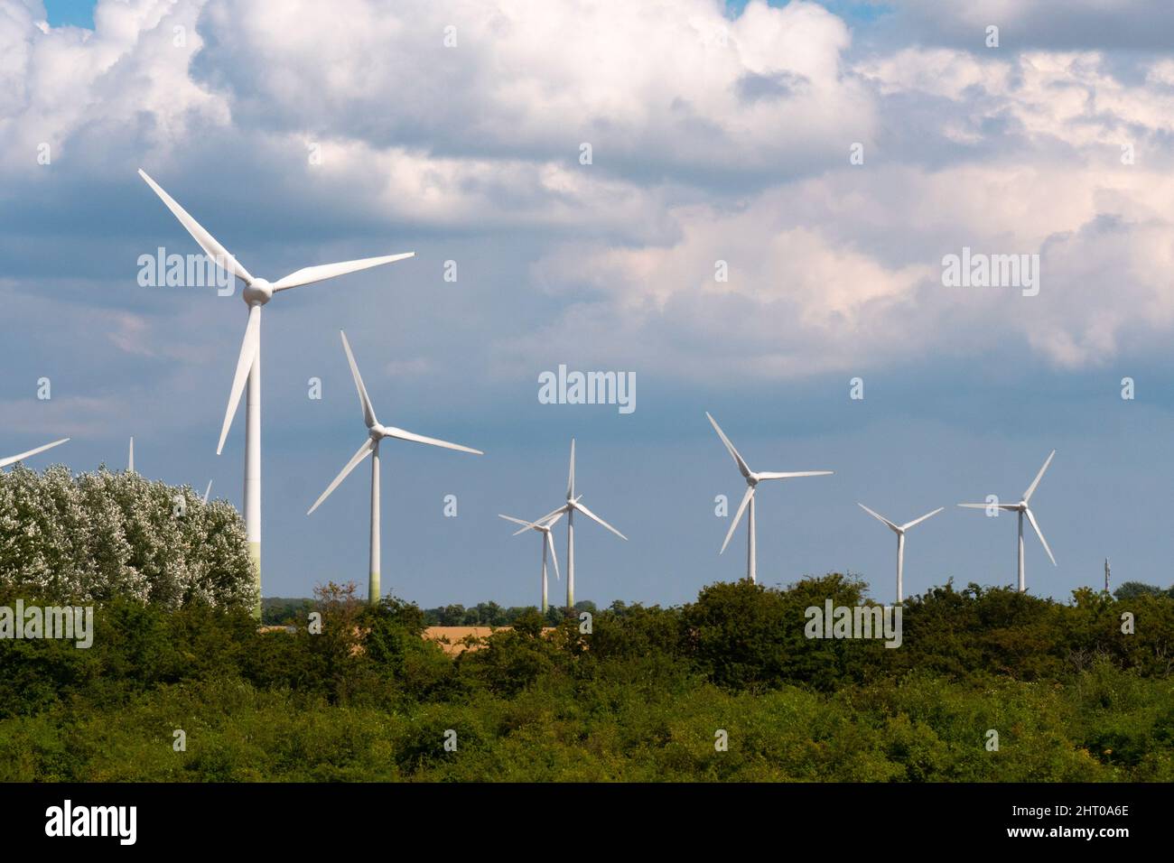 Parco delle ruote del vento sulla costa del Mar Baltico. Energia eolica, energia rinnovabile Foto Stock