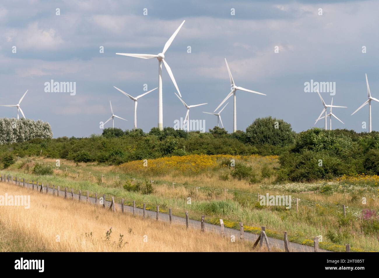 Parco delle ruote del vento sulla costa del Mar Baltico. Energia eolica, energia rinnovabile Foto Stock