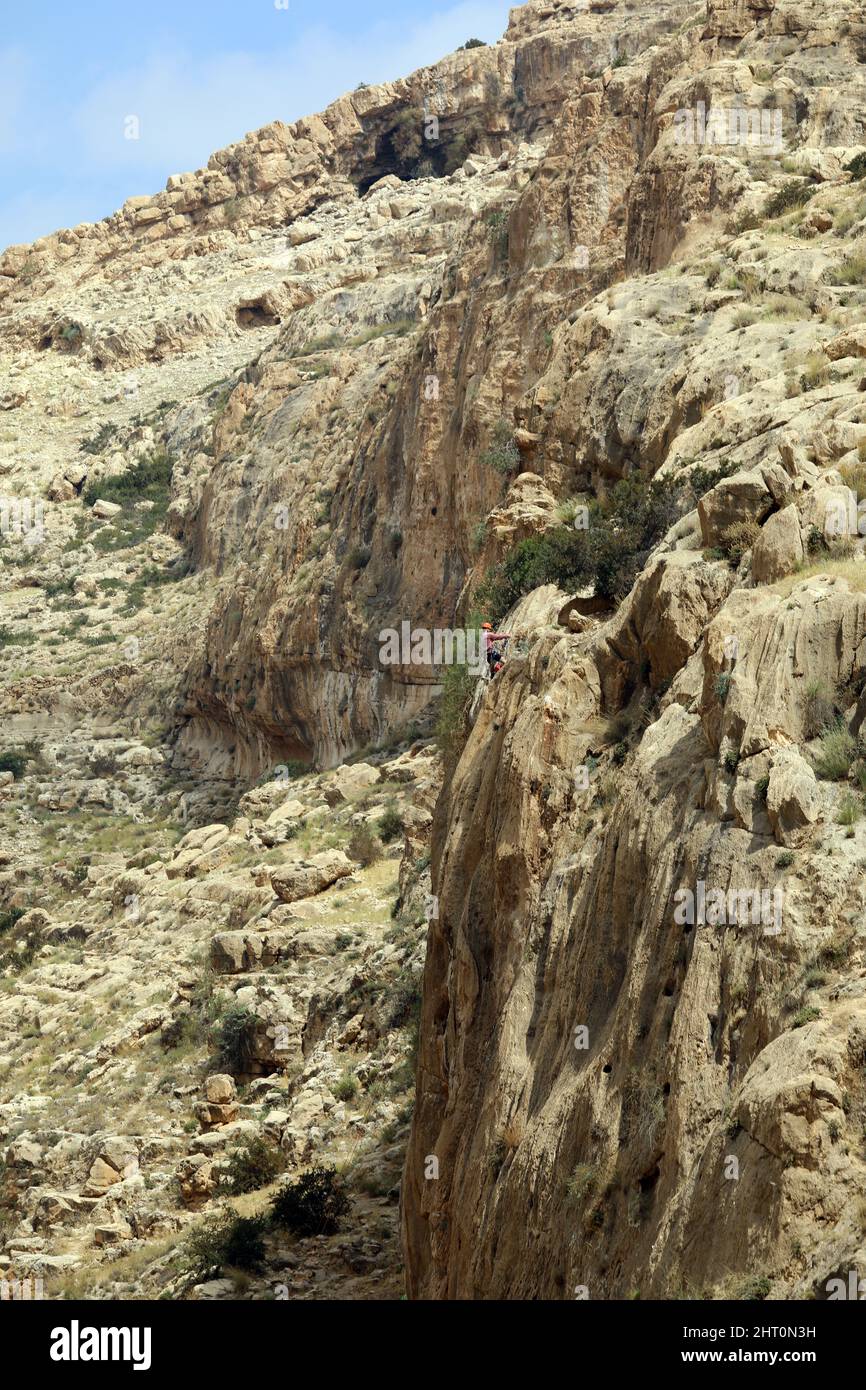 Wadi Qelt nel deserto della Giudea vicino a Gerico, Israele. Natura, pietra, roccia, canyon e oasi. Luoghi invisibili, sconosciuti, inesplorati, destinazioni di viaggio nascoste Foto Stock