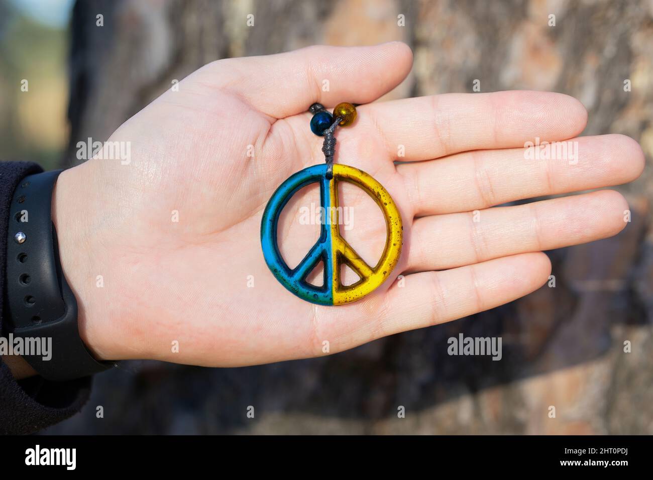 L'uomo che detiene un segno di pace in legno dipinse i colori nazionali della bandiera Ucraina. Nessun concetto di guerra. Foto Stock