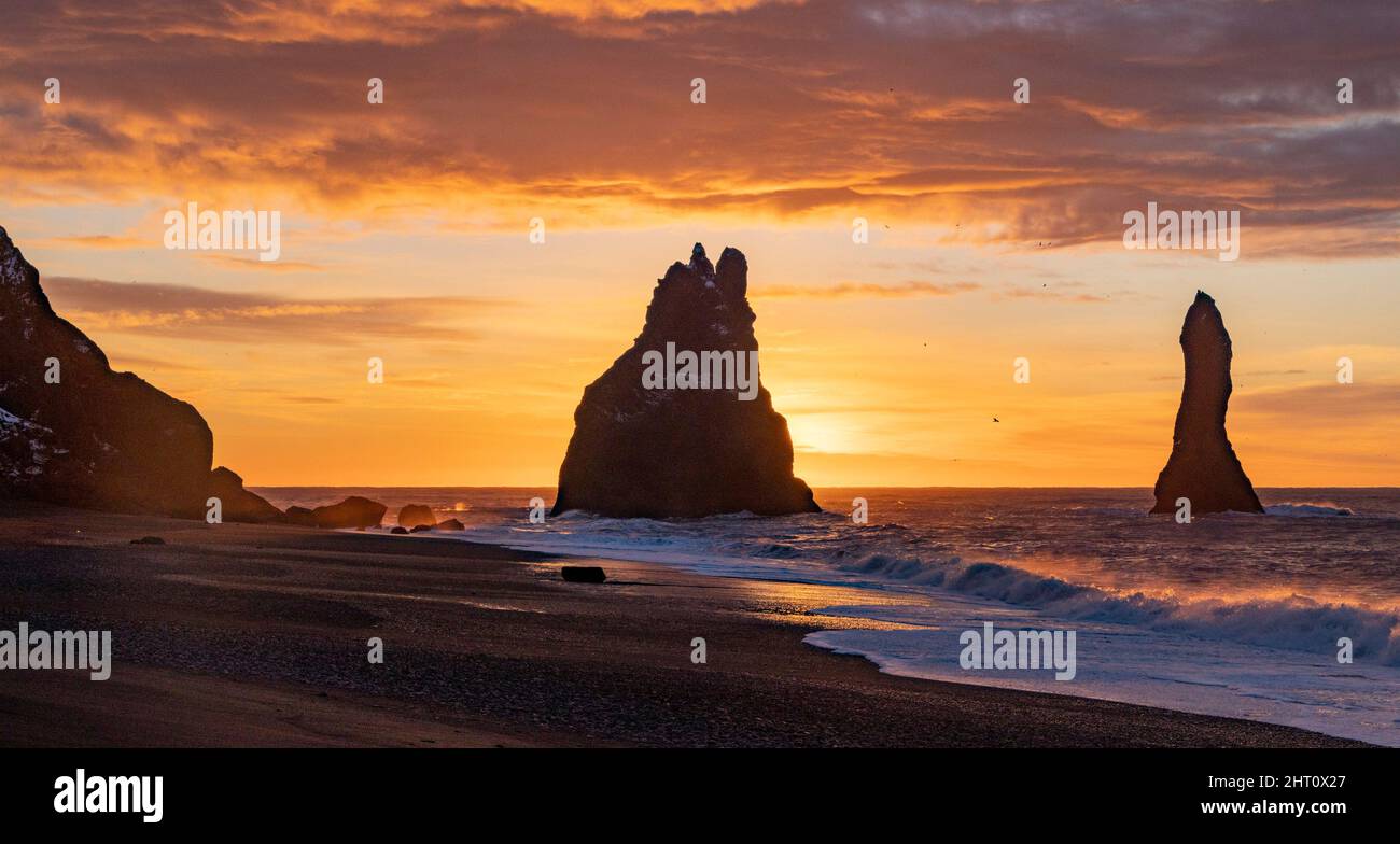 panorama dell'alba, spiaggia di sabbia nera di Reynisfjara, vicino al villaggio di Vík i Myrdal, Islanda sud-orientale Foto Stock