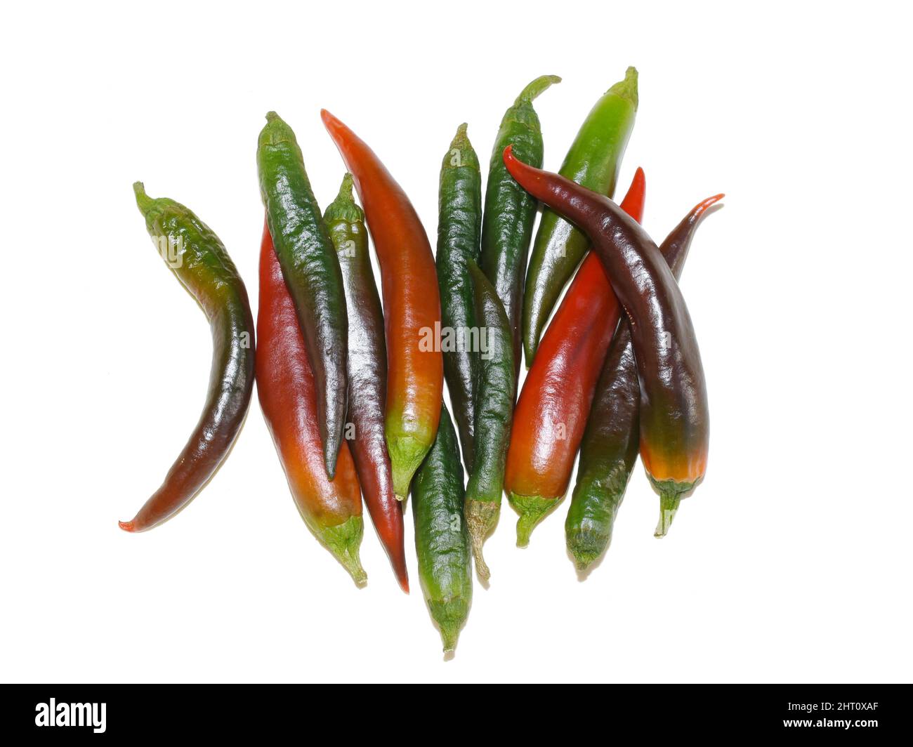 Peperoncino rosso e verde isolato su sfondo bianco Foto Stock