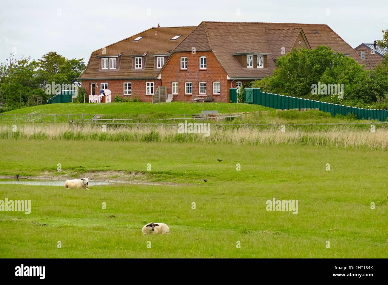 Scenario con grande casa a Pellworm, un'isola nella Frisia del Nord, Germania Foto Stock