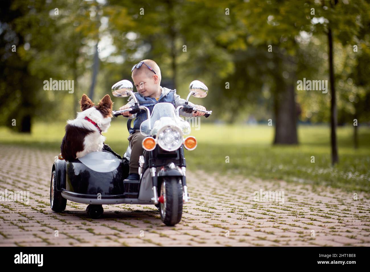 preschooler caucasico che guida il giocattolo elettrico del motociclo con sidecar ed il suo cane in esso Foto Stock
