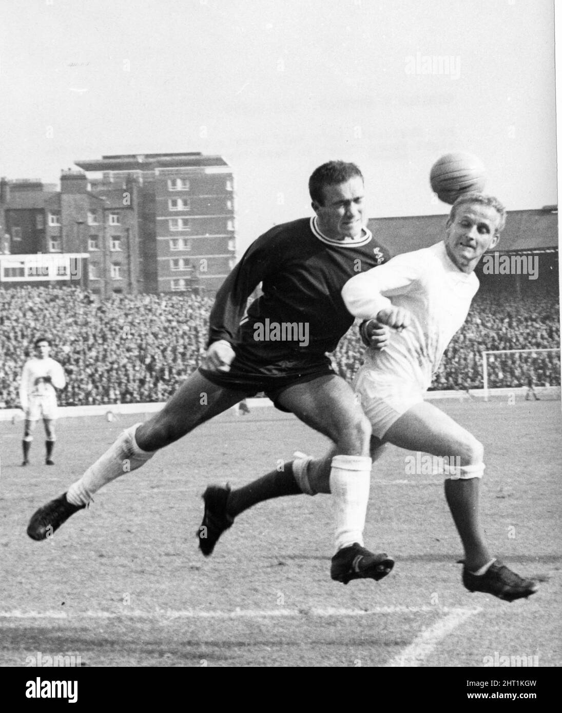 Chelsea contro la partita di leage di Everton al ponte di Stamford 1965 settembre. Alex Young di Everton (a destra) è affrettato da Ron 'Chopper' Harris di Chelsea (a sinistra). Punteggio finale: Chelsea 3-1 Everton Ron Harris Foto Stock