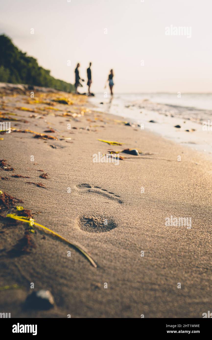 Una foto verticale di una spiaggia sabbiosa del Mar Baltico con impronte e visitatori Foto Stock
