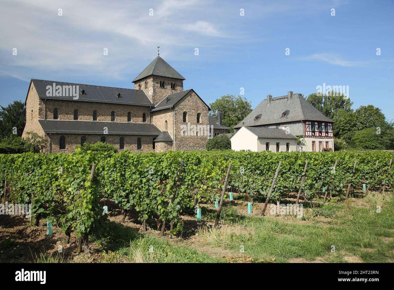 San Ägidius, costruito nel 12th secolo, Oestrich-Winkel, Rheingau, Assia, Germania Foto Stock