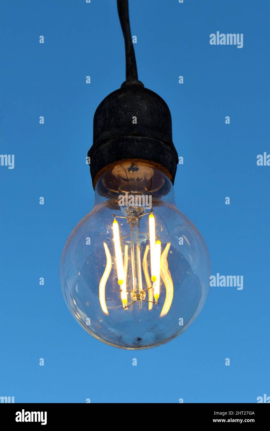 Primo piano di una lampadina illuminata, filamenti al centro di una lampadina, sfondo blu. Foto Stock