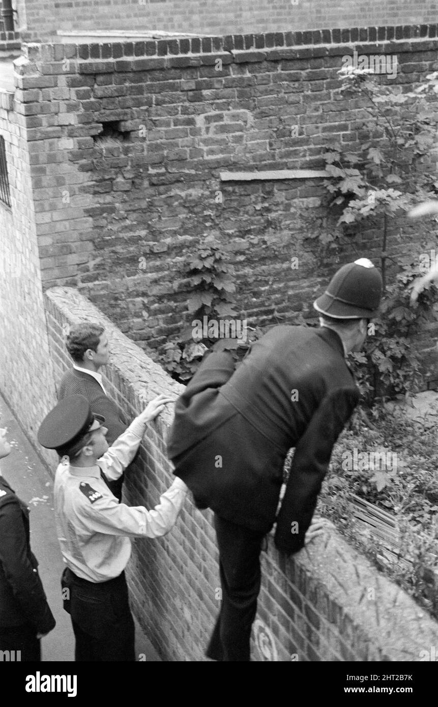 Squadre di detective e poliziotti in uniforme alla ricerca di Harry Roberts, che è voluto per l'intervista circa le sparatorie di tre poliziotti di Londra. La polizia si arrampica sulle mura posteriori del giardino in Goswell Road. 24th agosto 1966. Foto Stock