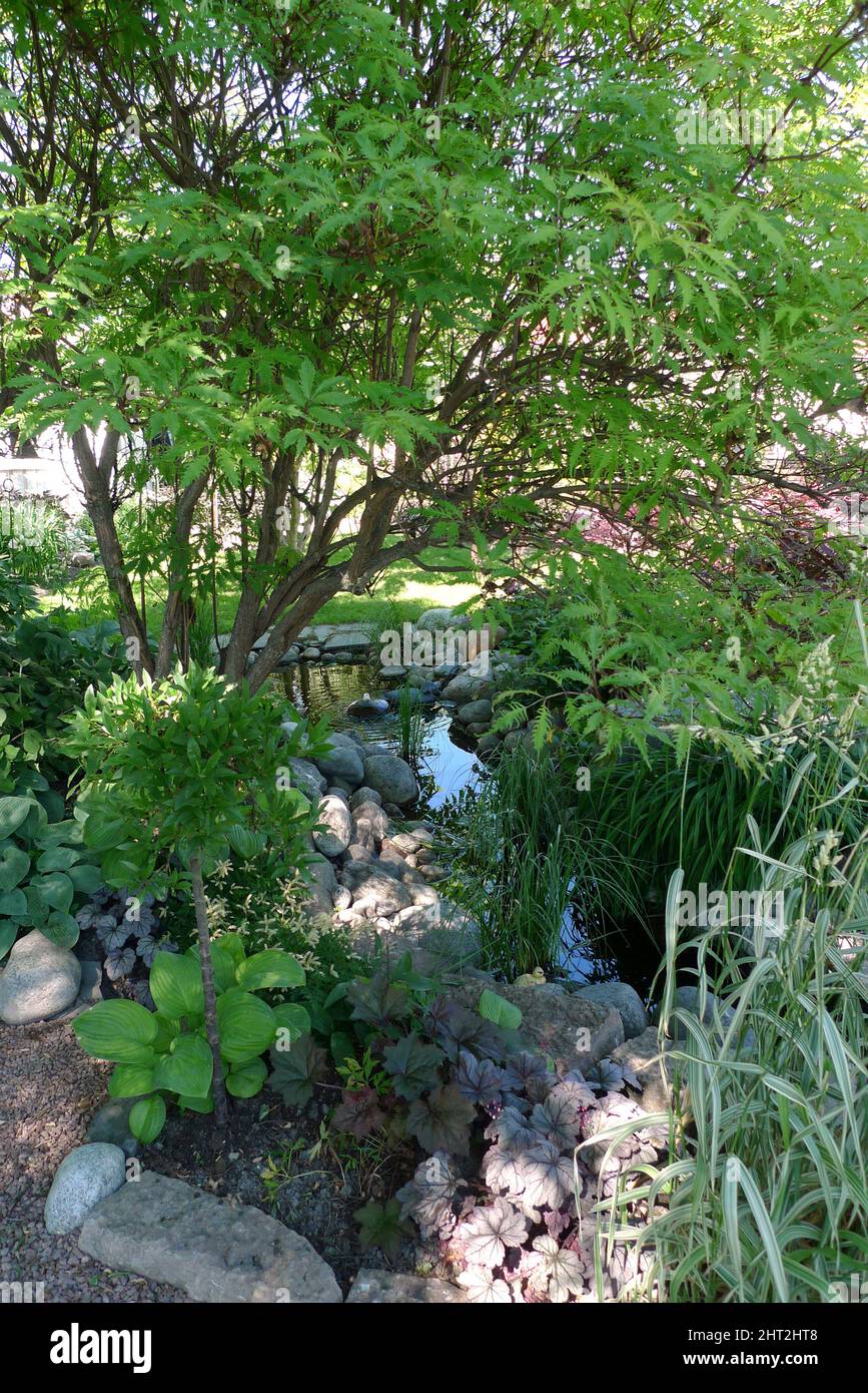 Ambienti giardino con solco torrente Foto Stock