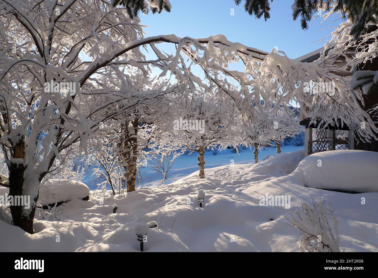 Giardino d'inverno Foto Stock