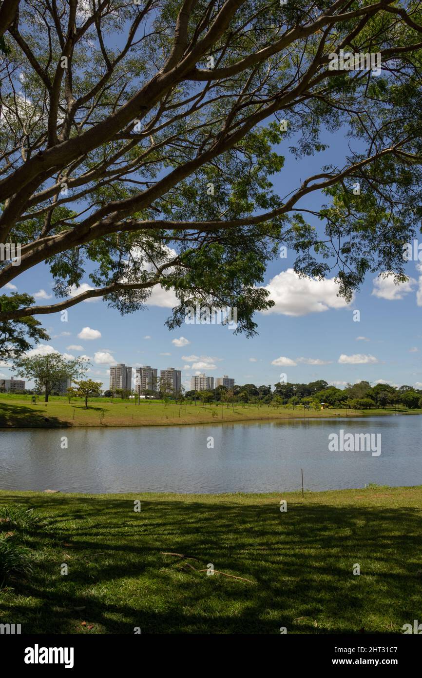 Goiânia, Goias, Brasile – 26 febbraio 2022: Paesaggio di un parco molto boscoso e di un lago, nella città di Goiânia. Parco Leolidio di Ramos Caiado. Foto Stock