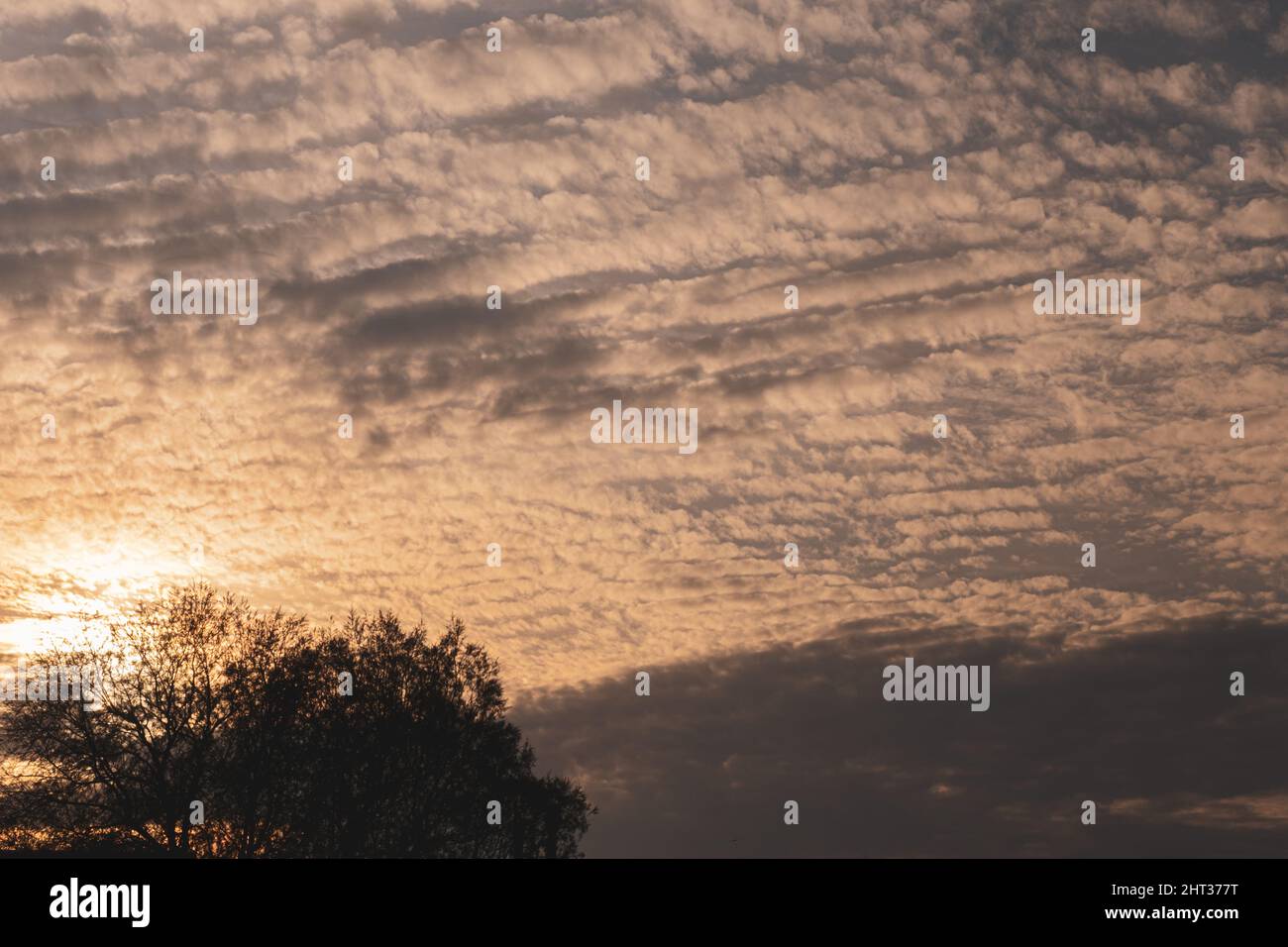 Tramonto con cielo nuvoloso e sfondo con silhouette di alberi, bella immagine di cielo puro al tramonto estivo. Foto Stock