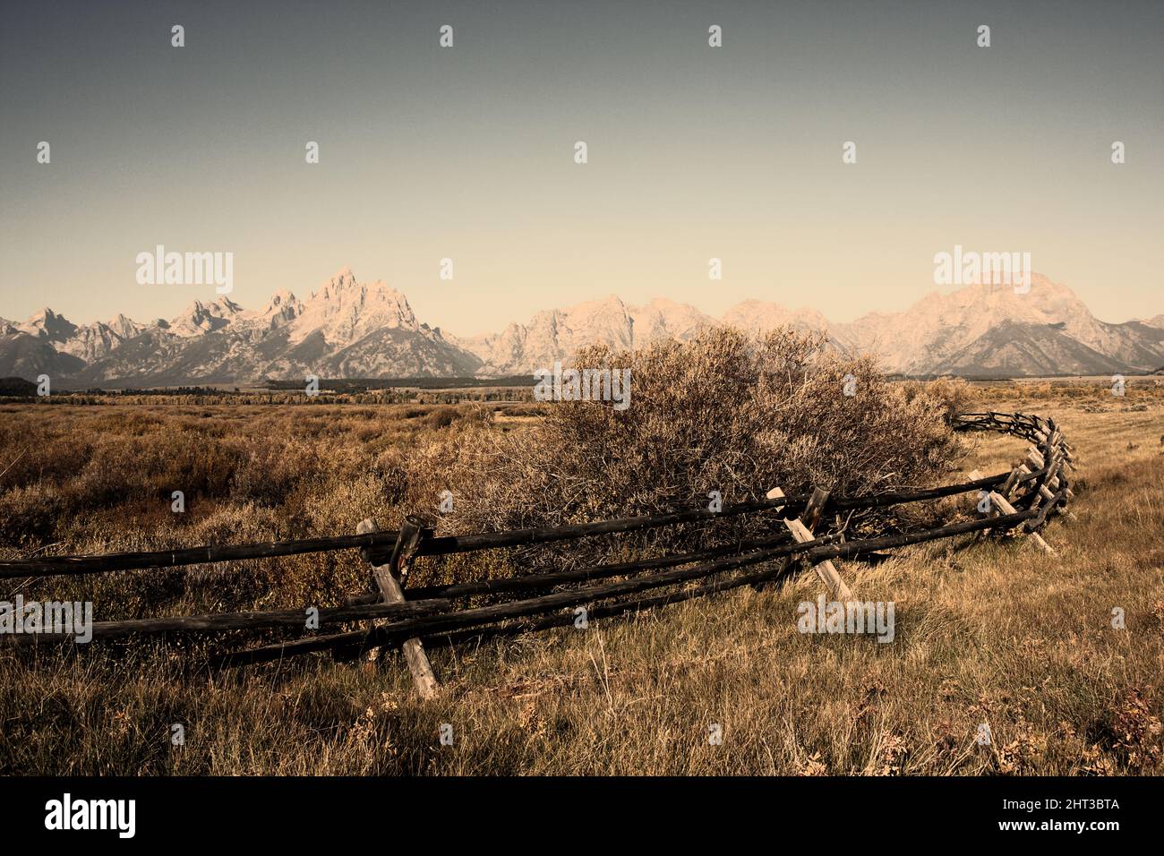 Recinzione in legno rotta con piante essiccate sullo sfondo Foto Stock