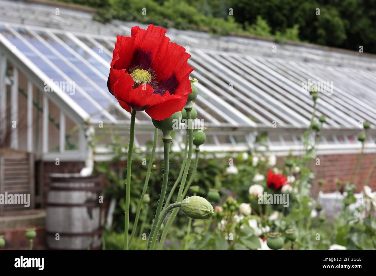 Wightwick Manor e giardini attrazioni a Wolverhampton Foto Stock