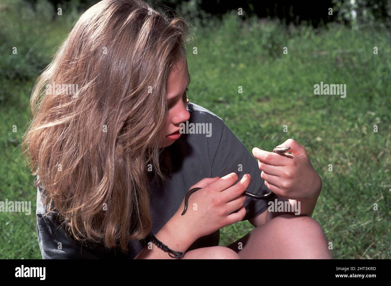 Ragazza considerare una lucertola di rame Foto Stock