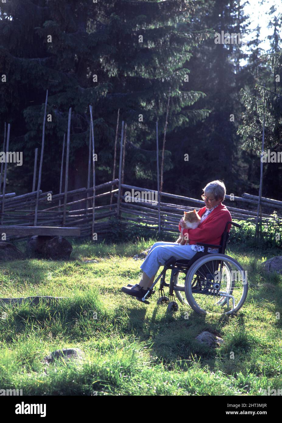 Sedia a rotelle legata con un gatto in grembo Foto Stock