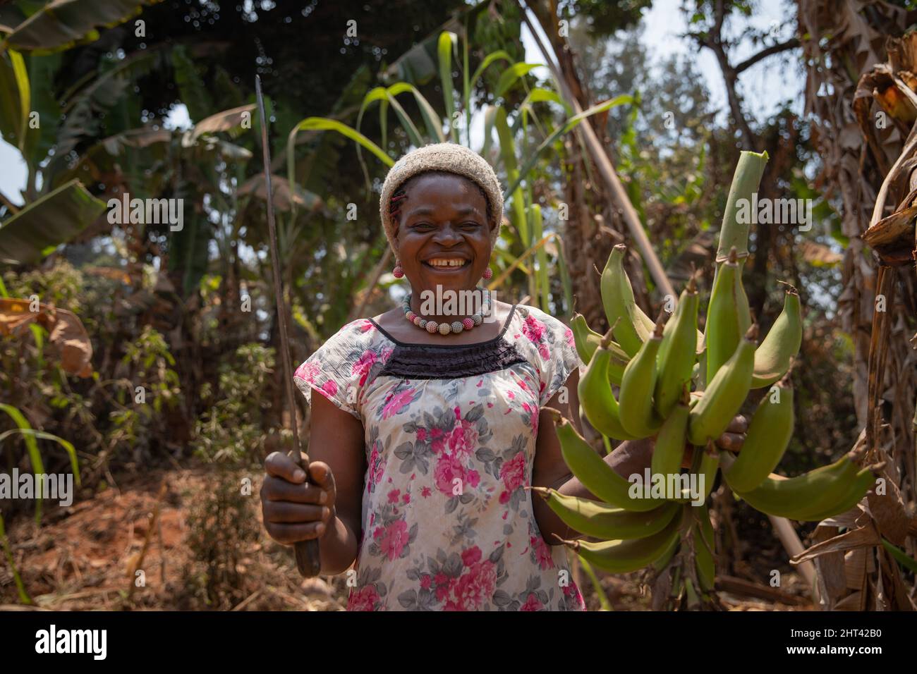 Sorridente agricoltore africano con un mazzo di banane dalla sua piantagione. Donna che lavora Foto Stock