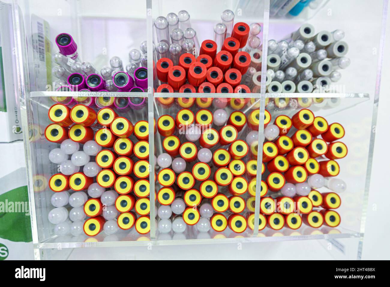 Miami Beach Florida, clinica per analisi del sangue laboratorio clinico, fiale per provette per il prelievo, codice colore Foto Stock