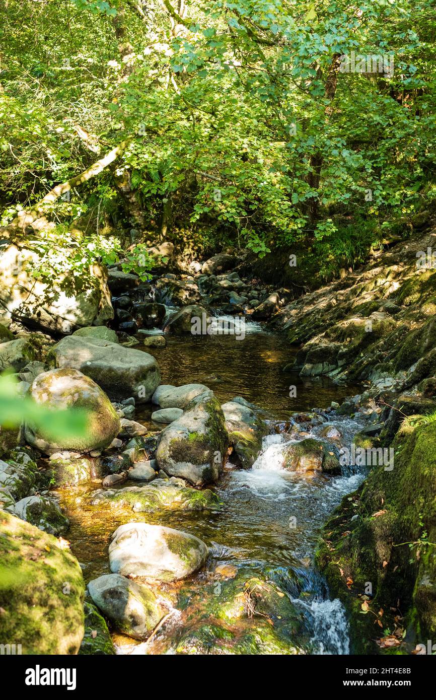 Aira Force Waterfall, vicino a Ullswater, Cumbria, Lake District, Regno Unito. Foto Stock