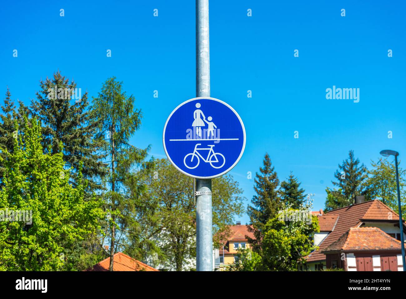 Zona pedonale della bicicletta segno in un cerchio blu sullo sfondo di alberi verdi Foto Stock