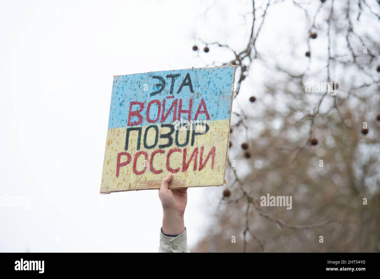 Manifestazione pacifica a Seattle, WA, USA per sostenere l'Ucraina, mentre la Russia saluta guerra a quel paese nel 2022. Il segno recita: Questa guerra è una vergogna russa. Foto Stock