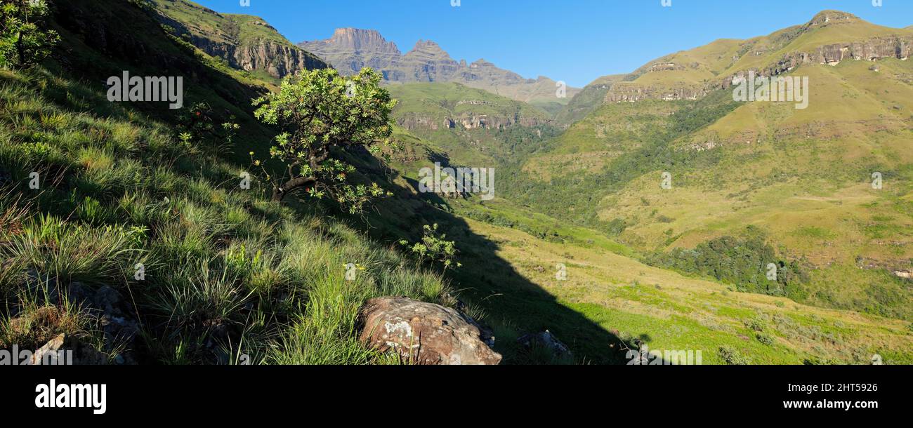Vista panoramica panoramica sulle montagne di Drakensberg, Sudafrica Foto Stock