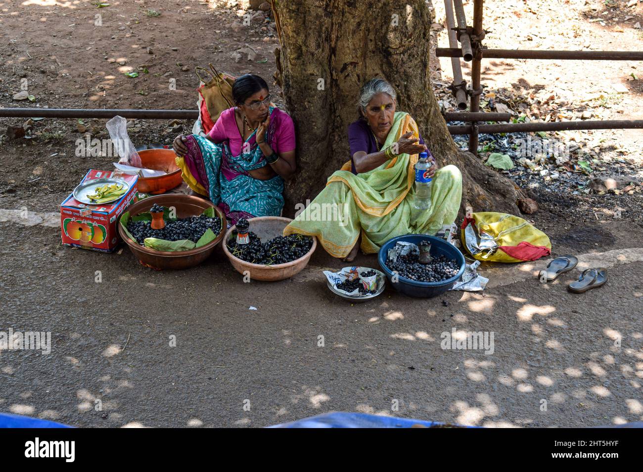 Donne indiane adulte che siedono sotto l'albero e vendono olive e bacche. Foto Stock