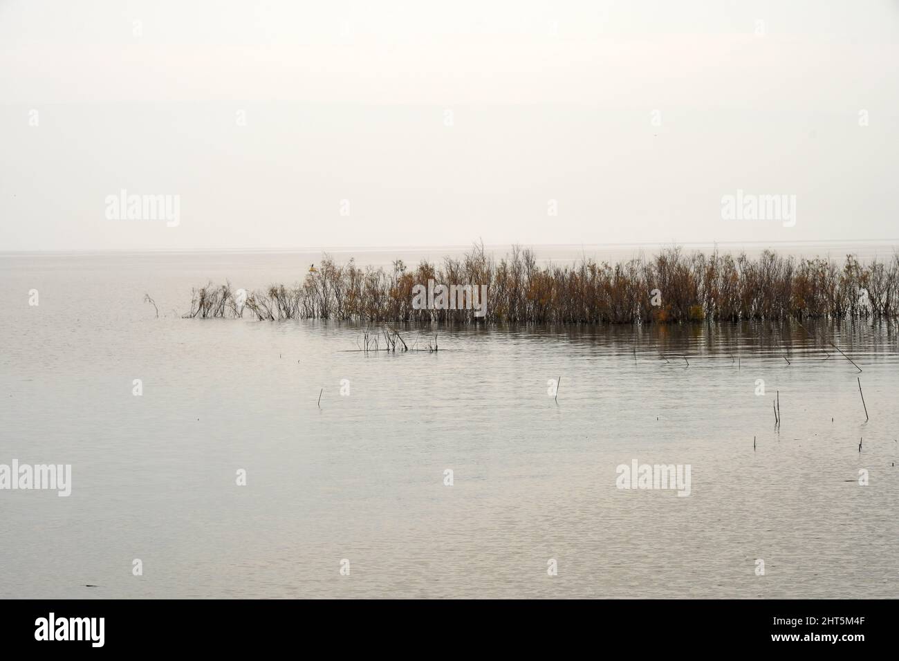 Mare di Galilea nella nebbia mattutina, Israele Foto Stock