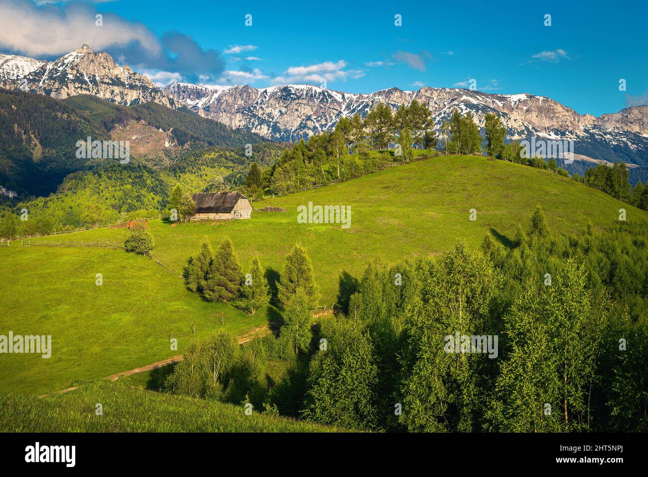 Bel paesaggio rurale, campi verdi e foreste con montagne innevate sullo sfondo, Bucegi montagne, Moieciu de Sus, Romania, Europa Foto Stock