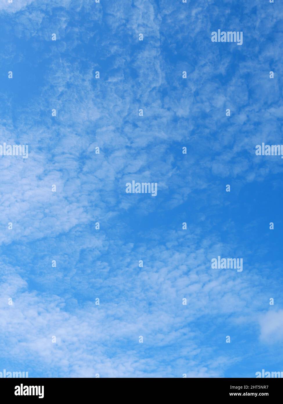 Altocumulus cloud su bel cielo azzurro , soffici formazioni di nubi in zona tropicale Foto Stock