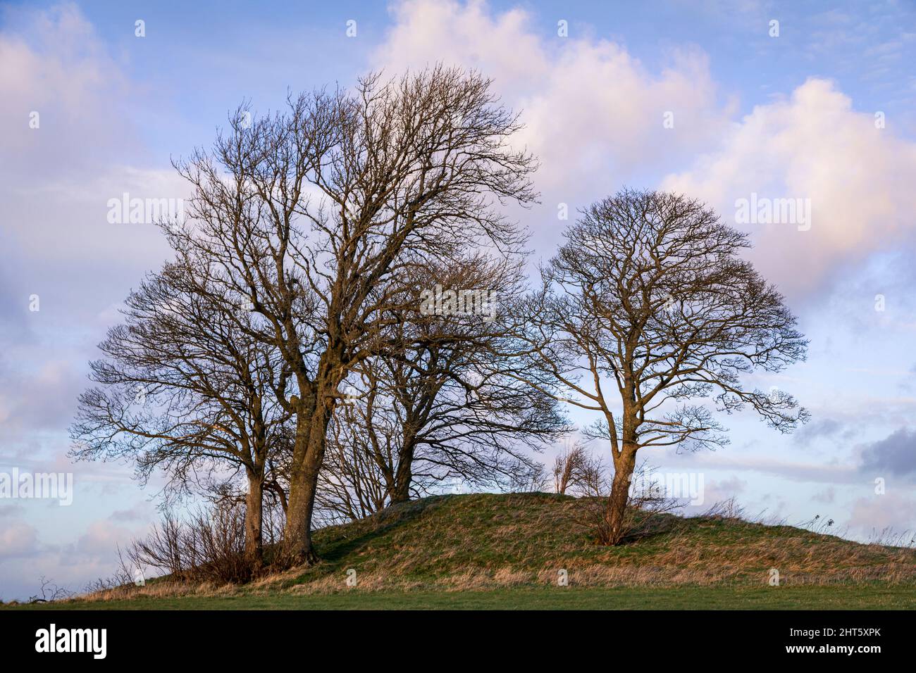 In attesa del tramonto su Middle Hill vicino a Warminster e Battlebury Hillfort Wiltshire sud-ovest Inghilterra Regno Unito Foto Stock