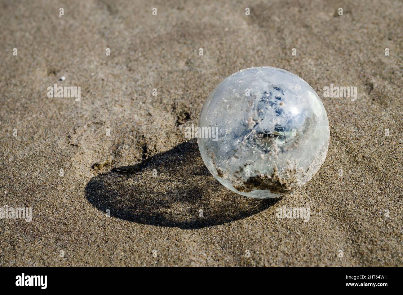 Un bulbo di vetro scartato cosparso di sabbia sulle rive del Danubio. Foto Stock