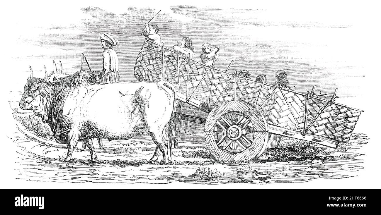 Gujerat Village-Cart, [India], 1850. "Senza un miglio di strada fatta o metalata in tutto il paese, questi carrelli, avendo le ruote proporzionate in modo da adattarsi esattamente ai solchi, si muovono come se si stesse sui tram, E sono disegnati da villaggio a villaggio da uno o due paia di giovenchi, trasportando carichi pesanti e voluminosi, pesando da dodici a diciotto centesimi... rotondi circa, e formando i lati del carrello, vi è, attaccato da corde, un paniere intrecciati, fatto di stocchi di pianta di cotone. Le ruote sono le parti più importanti del tutto, e mostrano grande ingegnosità e meccanica Foto Stock