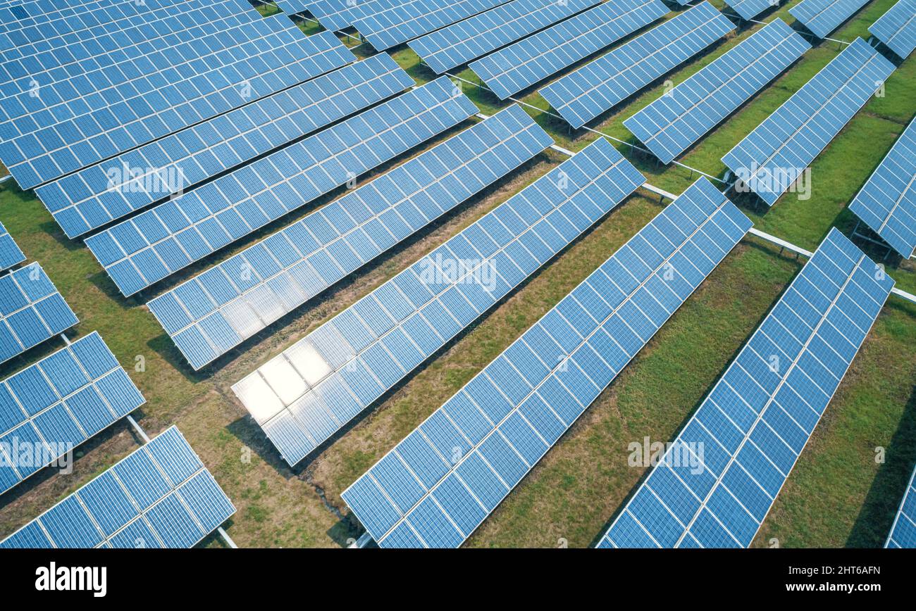 Scatto aereo di pannelli solari fattoria sul campo verde. Concetto di energia verde alternativa rinnovabile. Foto Stock