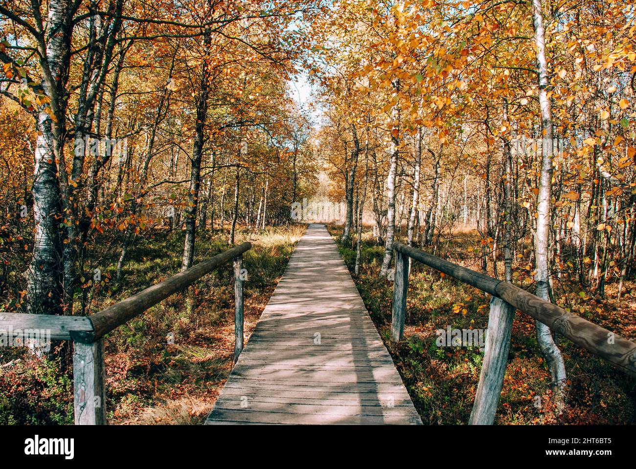 Giornata autunnale al Rotes Moor, montagna di Rhön, Germania Foto Stock