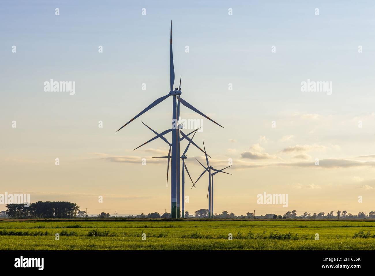 Fattoria mulino su prato verde, produzione di energia verde utilizzando energia eolica Foto Stock