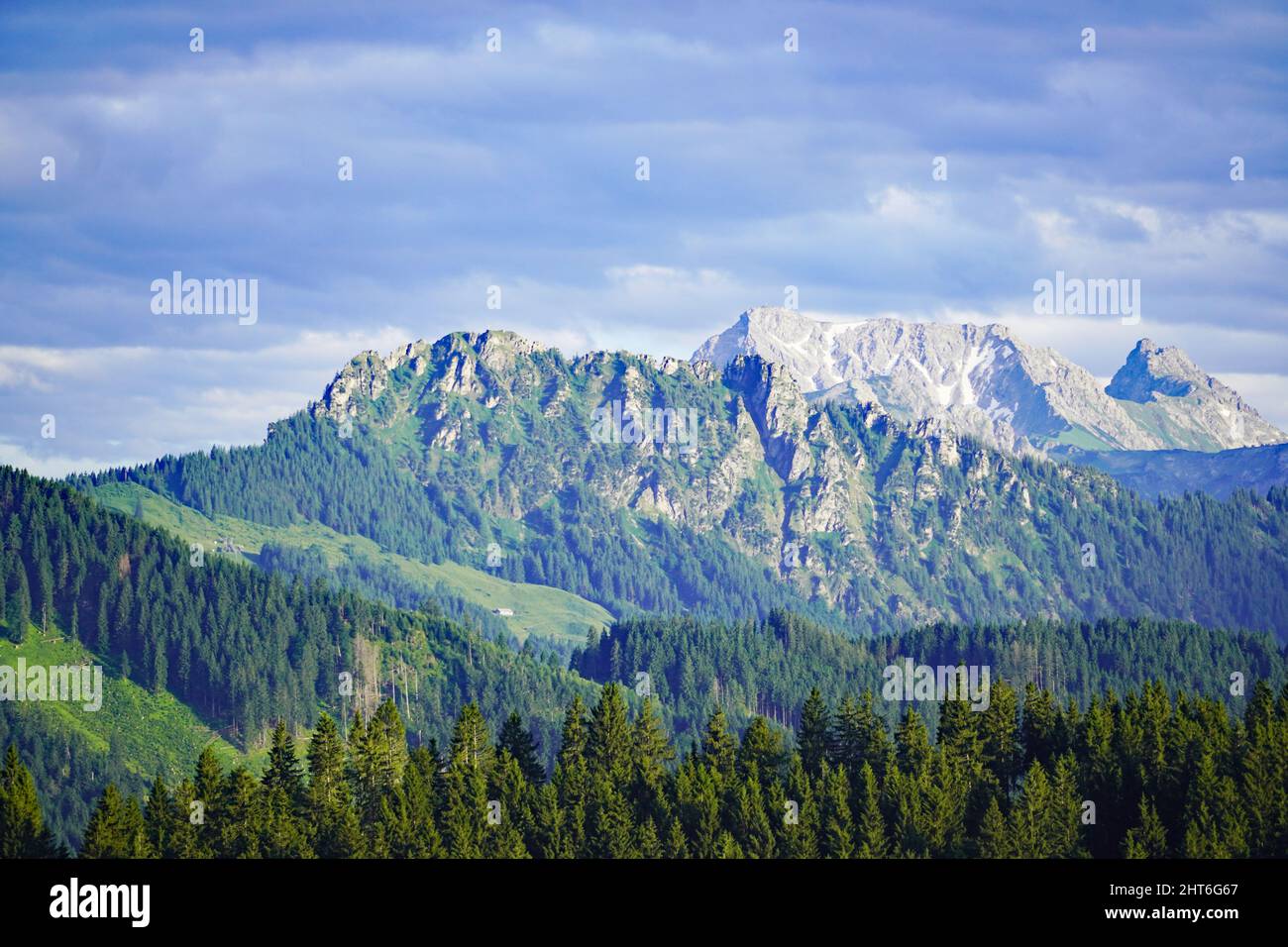 Foresta su una montagna nella regione di Allgau della Baviera in Germania Foto Stock