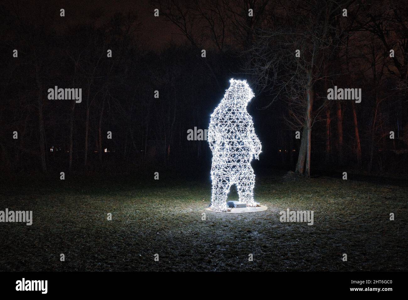 Bella figura magica orso notte con molte luci a LED che illuminano nel giardino all'aperto Foto Stock