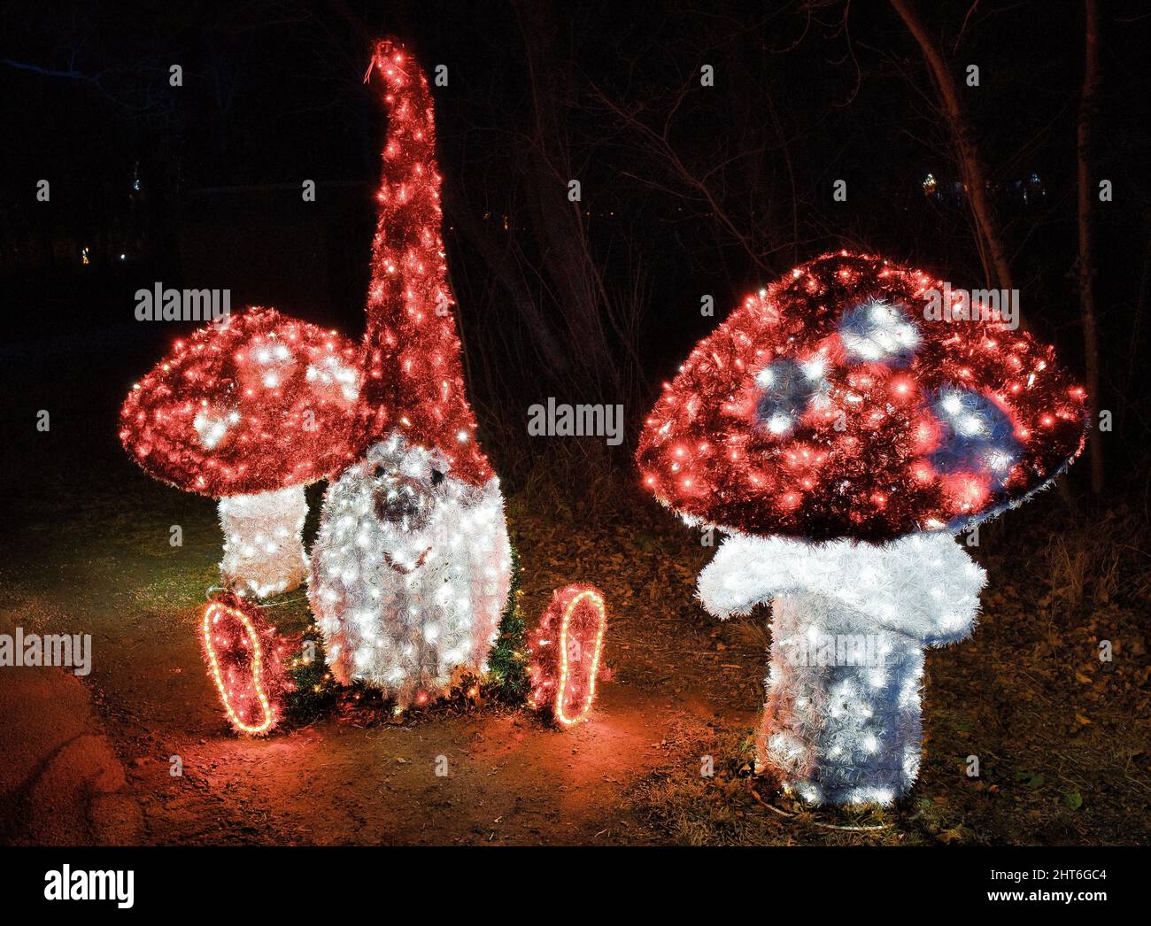 Splendide figure magiche di funghi notturni con molte luci a LED che illuminano il giardino all'aperto Foto Stock