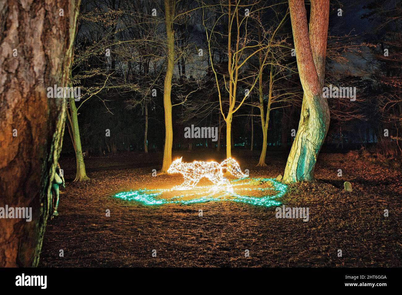 Bella figura magica notte animale con molte luci a LED che illuminano nel giardino all'aperto Foto Stock
