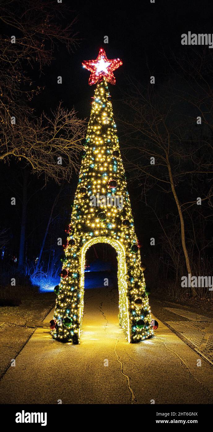 Bellissimo albero da notte magico con stella e molte luci a LED che illuminano nel giardino all'aperto Foto Stock