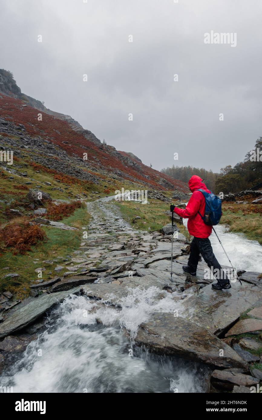 Walker che cammina su un ponte su Broadslack Gill, in piena spezia, sulla passeggiata del Castello Crag in un giorno bagnato e piovoso, Lake District, Cumbria, Inghilterra, REGNO UNITO Foto Stock