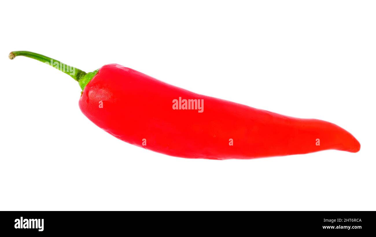 Peperone rosso isolato su bianco Foto Stock