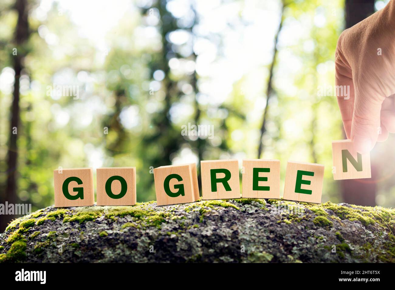 go green è un concetto ecologico di un mondo verde e di un pianeta. lettere di testo su cubi nella foresta sullo sfondo naturale della foresta. Foto Stock