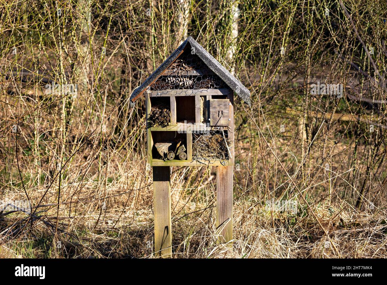 Hotel dell'insetto Foto Stock